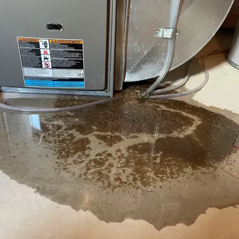 Appliance Leak Cleanup in DeFuniak Springs, FL